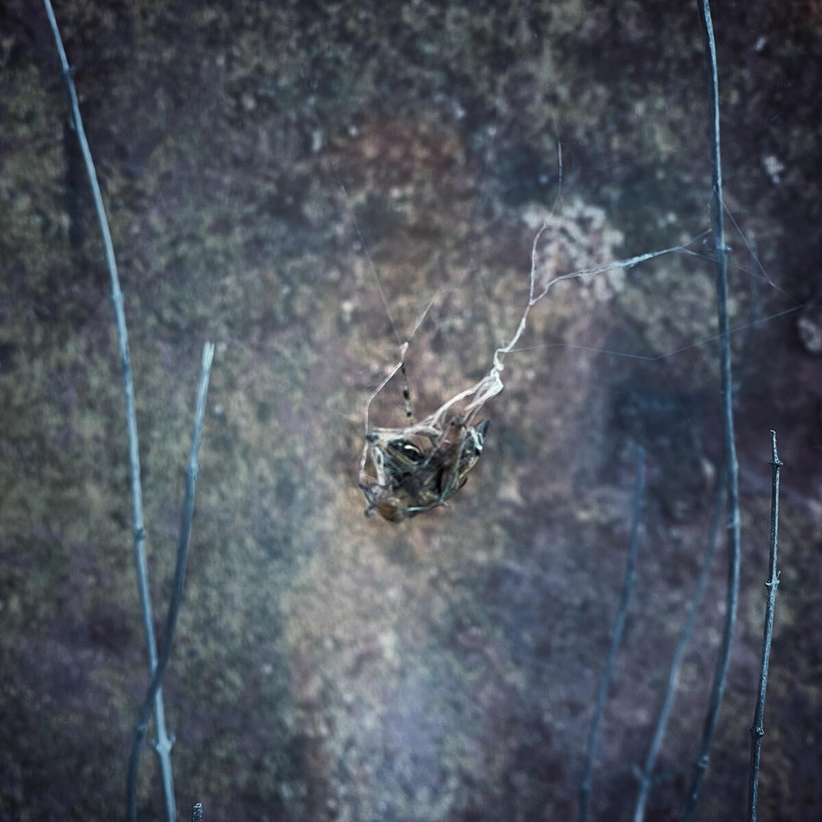 Untitled Untitled