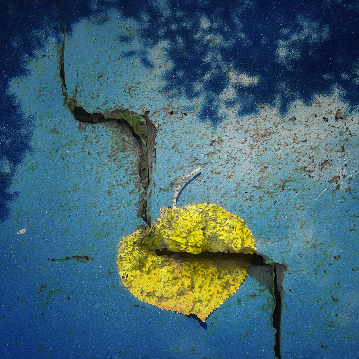 Untitled Untitled