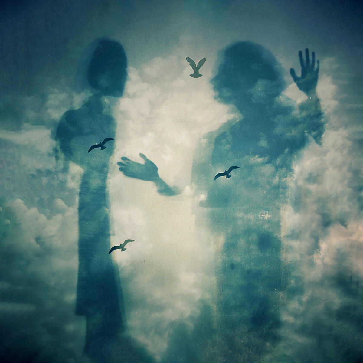 Untitled Untitled