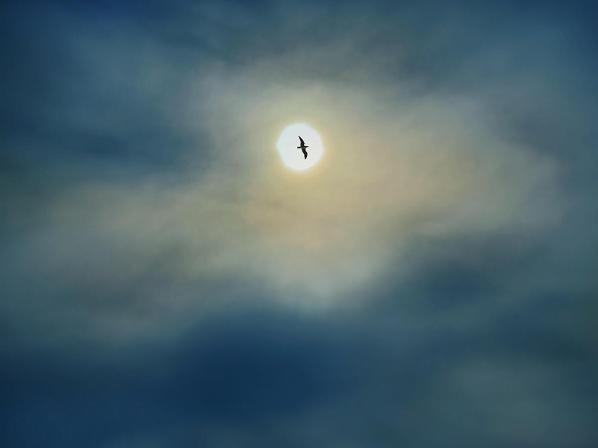 Untitled Untitled