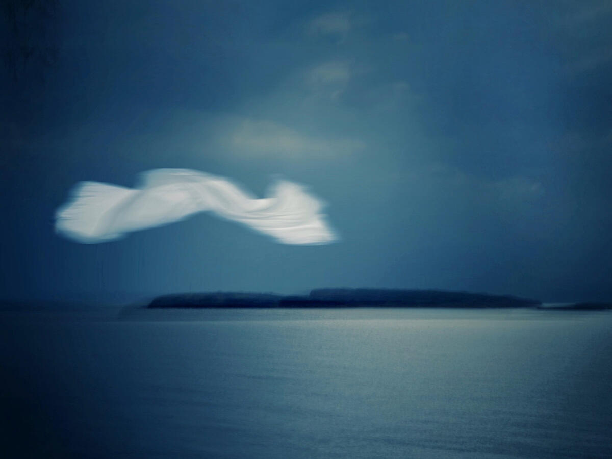 Untitled Untitled
