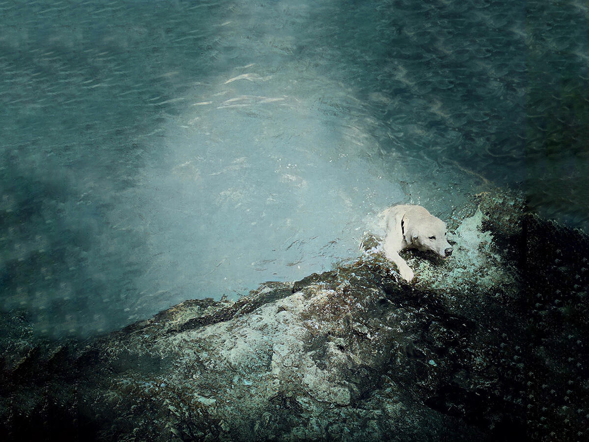Untitled Untitled