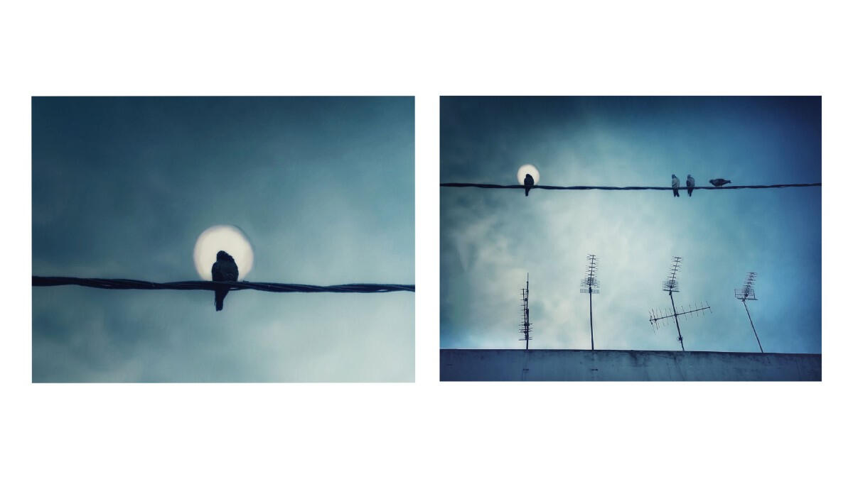 Untitled Untitled