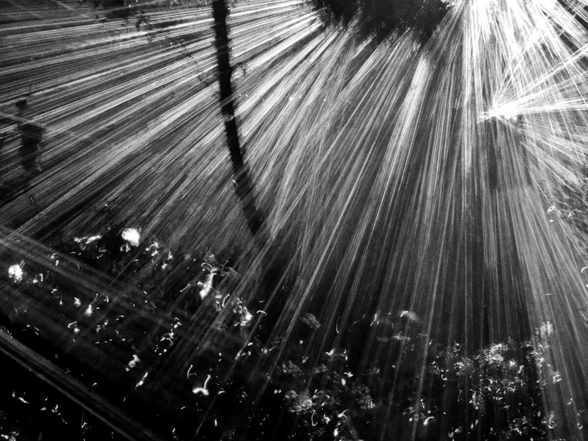 Untitled Untitled
